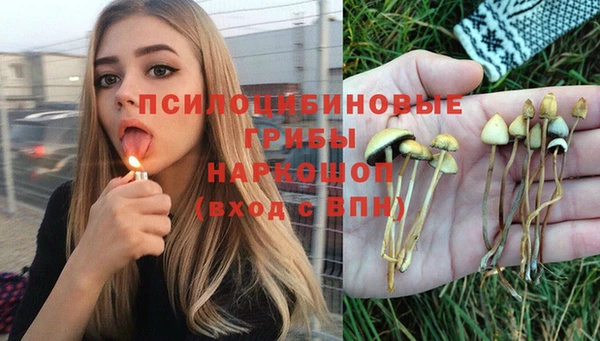 прущий лед Бронницы